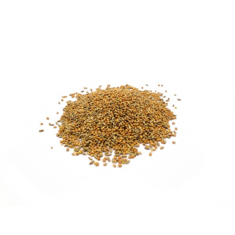 Marriages Traditional Budgie Food 20kg seeds displayed on a white background.