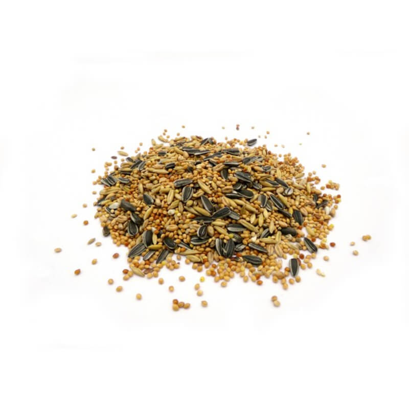 A pile of Marriages Cockatiel Parakeet Lovebird Food on a white background.