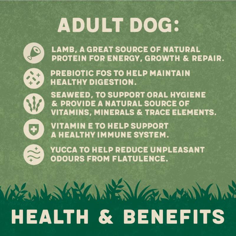 Harringtons Lamb & Rice Adult 15kg shows adult dog health benefits with icons on green.