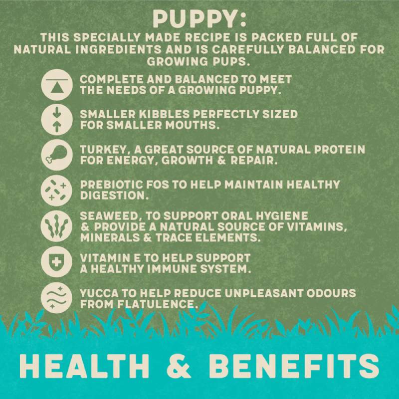 Harringtons Turkey and Rice Puppy 10kg: balanced diet, fresh meat, and salmon oil benefits.