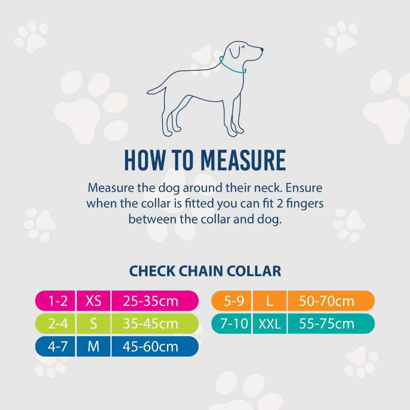 Ancol Obedia Nylon & Chain Collar—green, plastic buckle, blue Ancol tag.