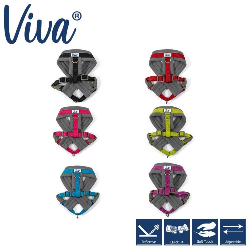 Six vibrant Ancol Viva Padded Harnesses shown with feature icons for comfort and durability.