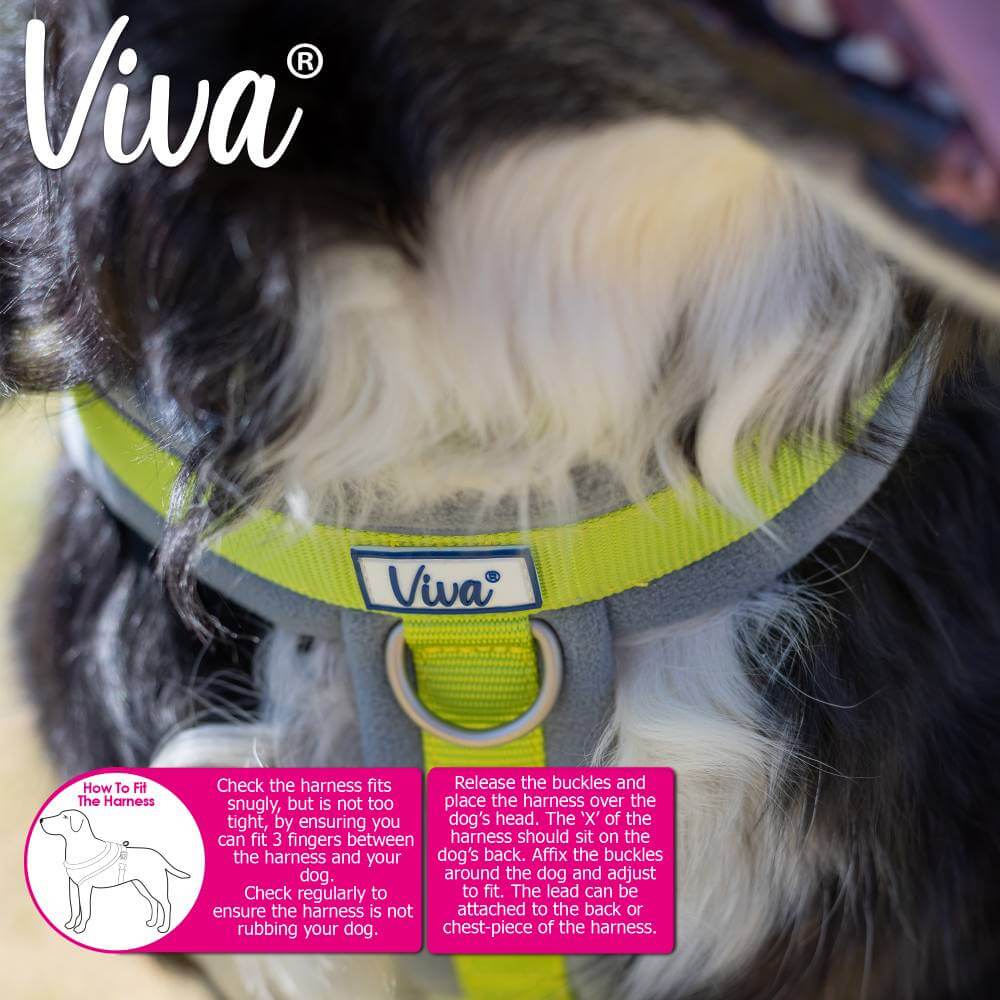 Six vibrant Ancol Viva Padded Harnesses shown with feature icons for comfort and durability.