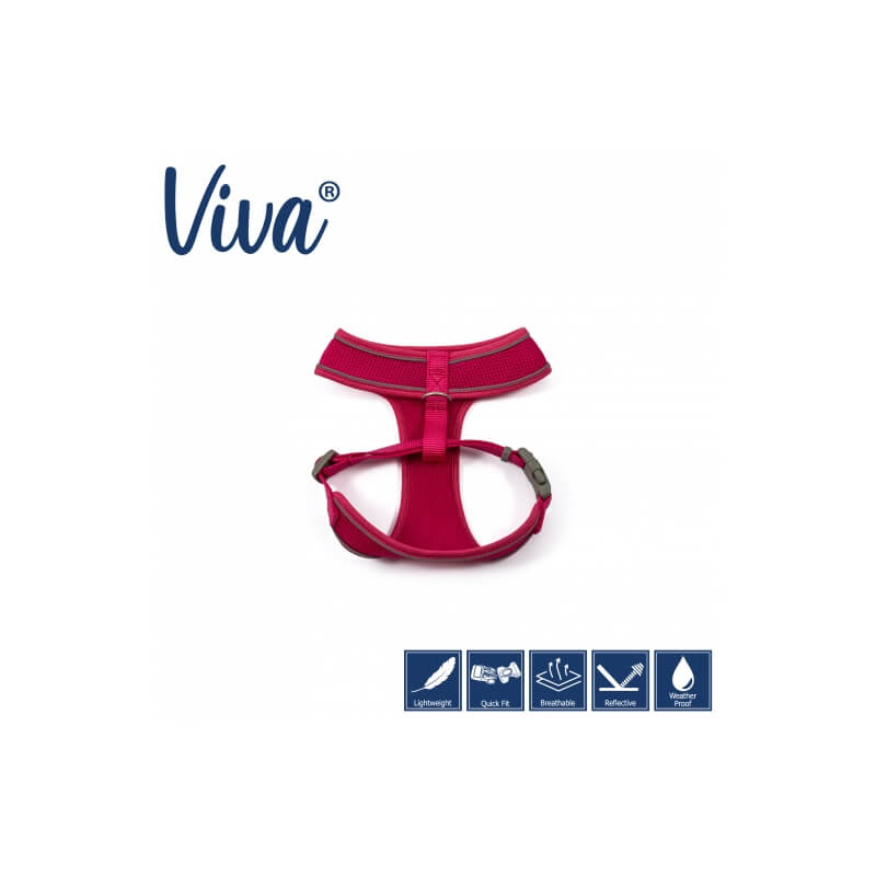 Ancol Viva Comfort Dog Harness Pink—lightweight, mesh, quick-fit, and water-resistant.