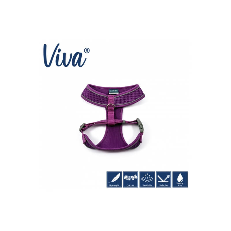 Ancol Viva Comfort Dog Harness Purple with adjustable straps and feature icons below.