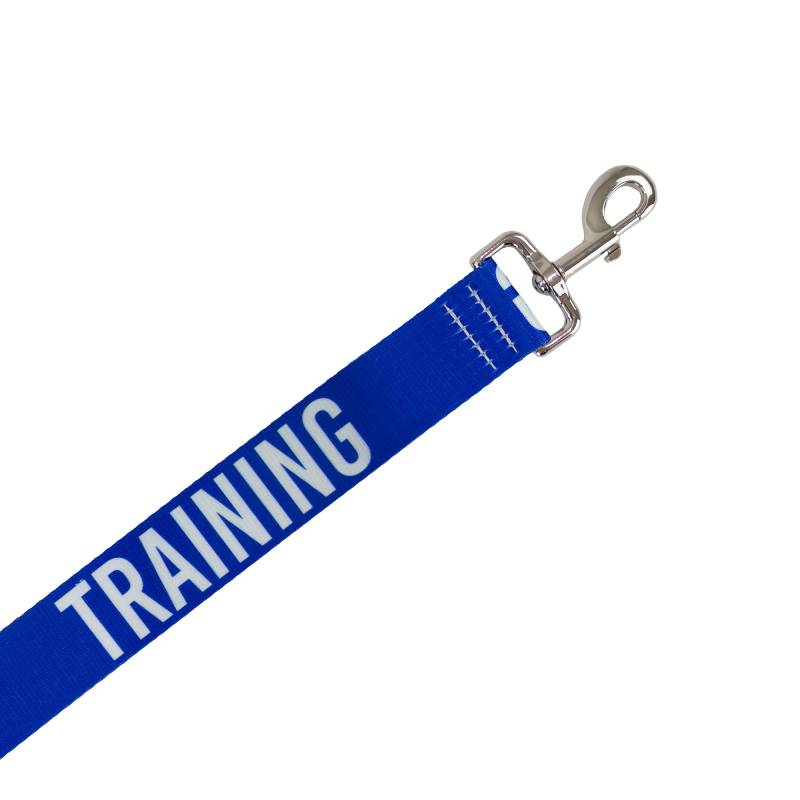 Ancol Awareness Lead TRAINING 40mm, blue with "TRAINING" in white and strong metal clasp.