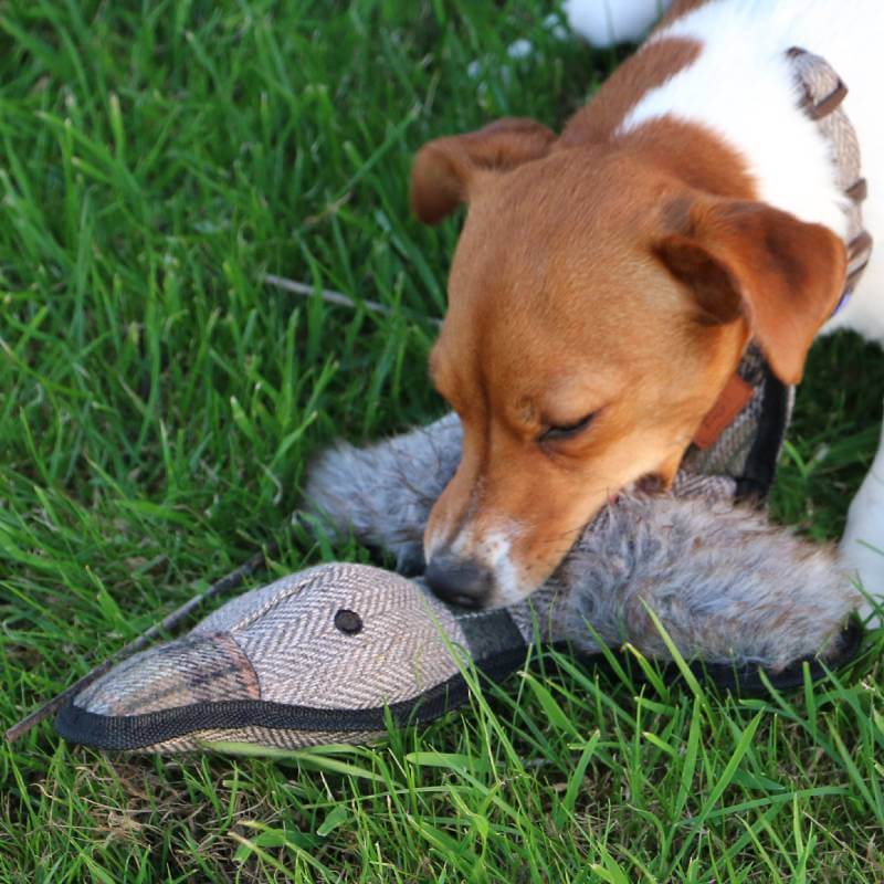 Ancol Heritage Tweed Duck plush dog toy with faux fur wings and herringbone body.