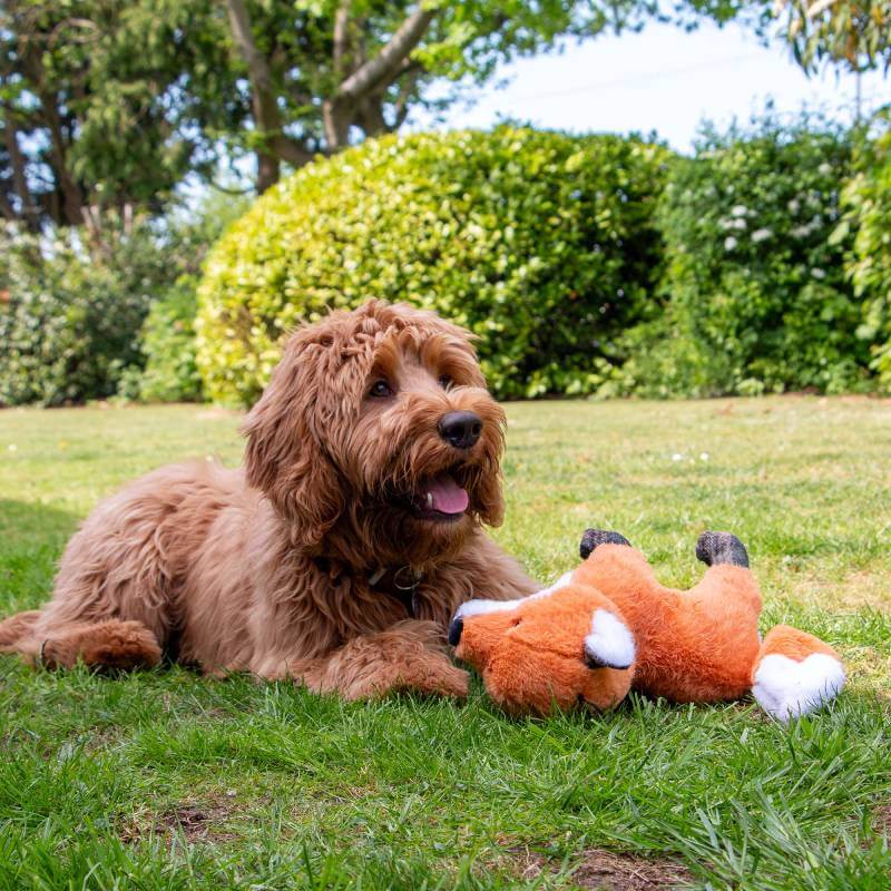 Ancol Heritage Felicity Fox: a plush dog toy with orange fur, white details, and black legs.