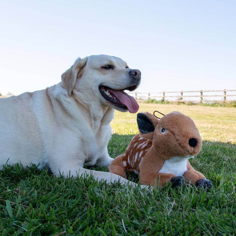 A yellow lab lies on grass next to the Ancol Heritage Delilah Deer plush dog toy.