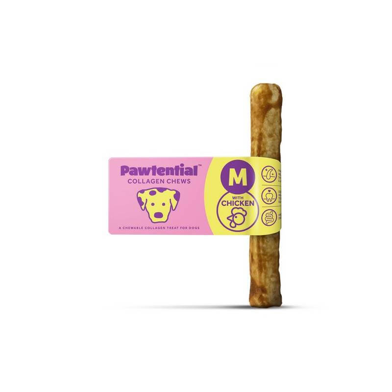 Pawtential Collagen Dog Chew Medium—chicken chews for dog joint health.