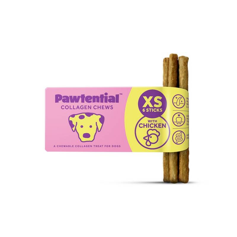 Pawtential Collagen Dog Chew XS, 6 sticks—rawhide alternative with chicken.