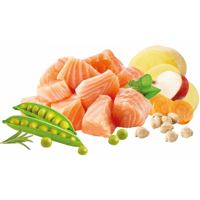 Natures Menu High in Meat No Grain Cat Food Salmon—premium salmon cat food for cats.