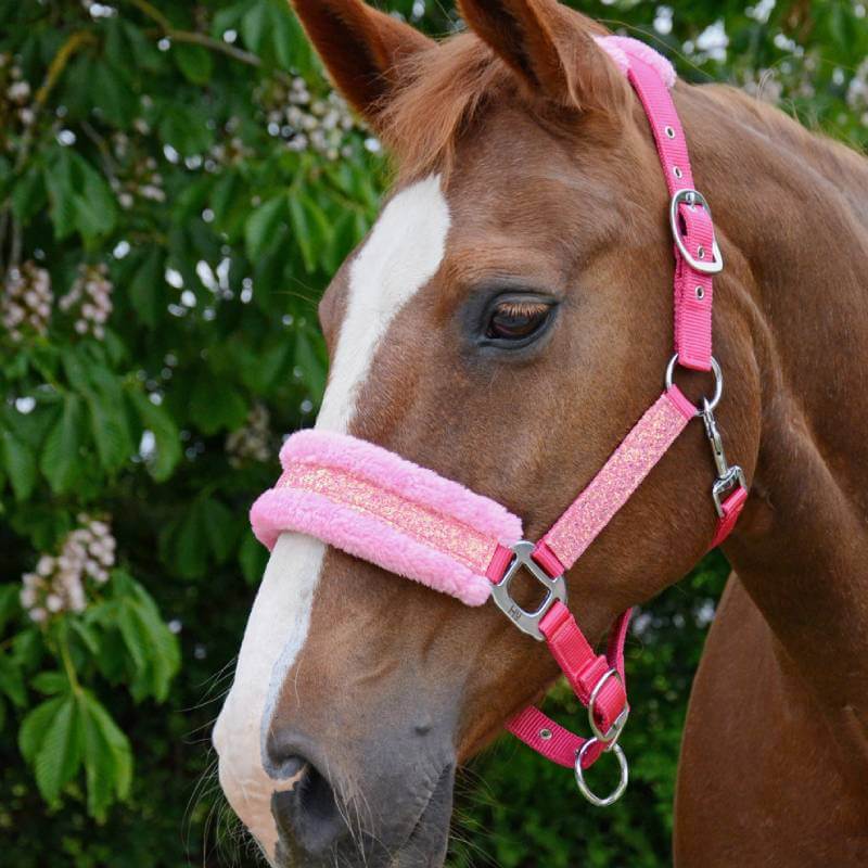 Brown horse wears Hy Dazzle Headcollar by Hy, pink with faux fur, green foliage in background.