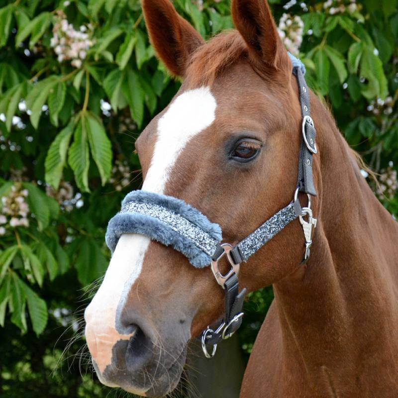 A brown horse with a white stripe wears a Hy Dazzle Headcollar near green trees.