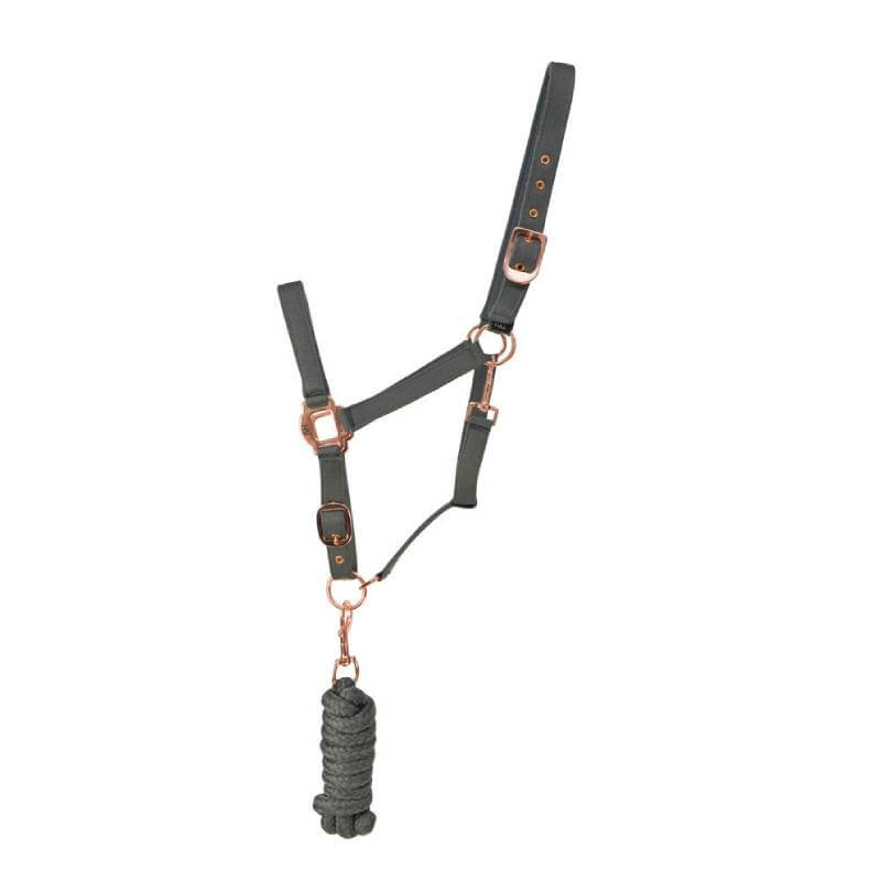 Hy Rose Gold Headcollar & Lead by Hy, with adjustable buckles and matching rope.
