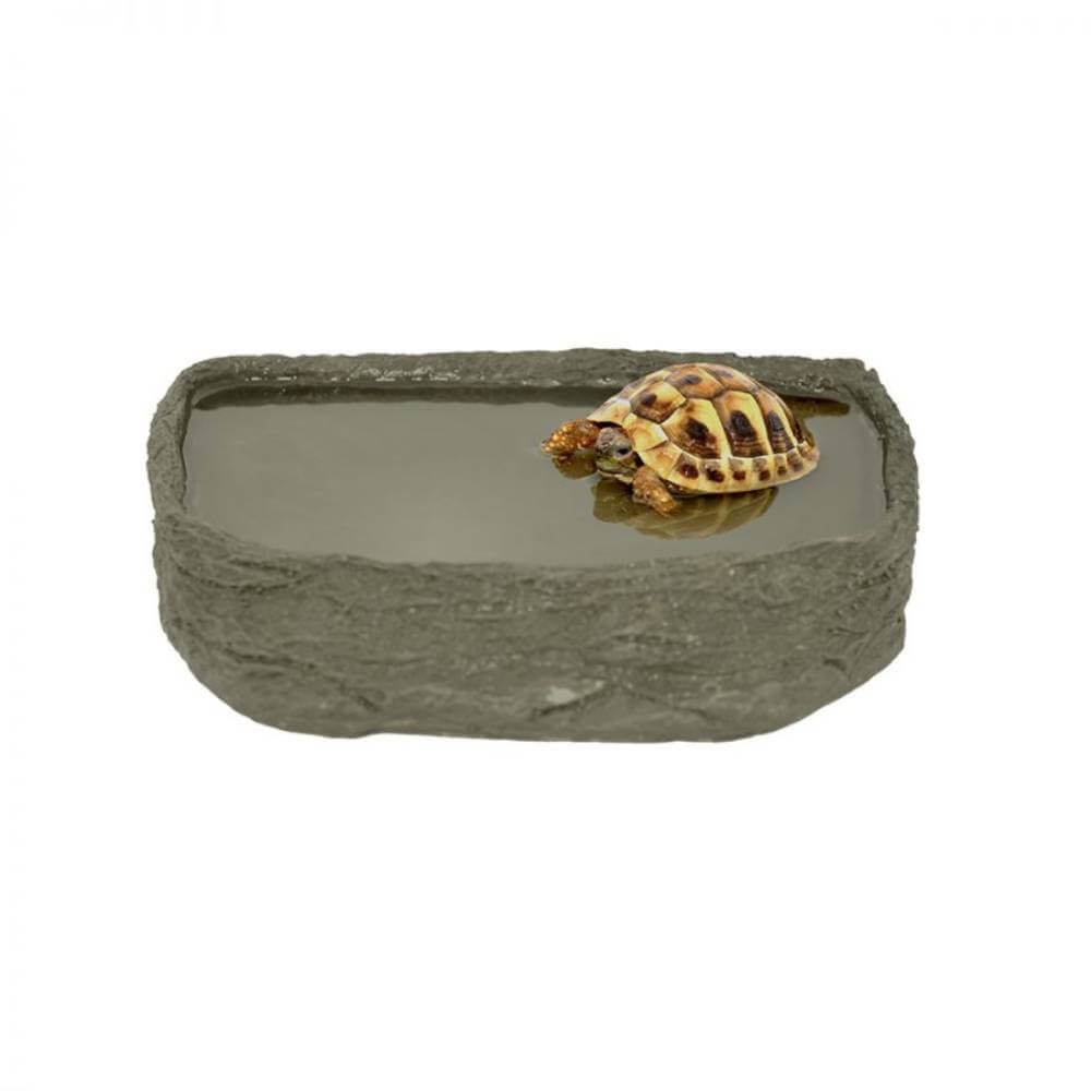 A small tortoise soaks in a Habistat Tortoise Pool, a resin water dish by Habistat.
