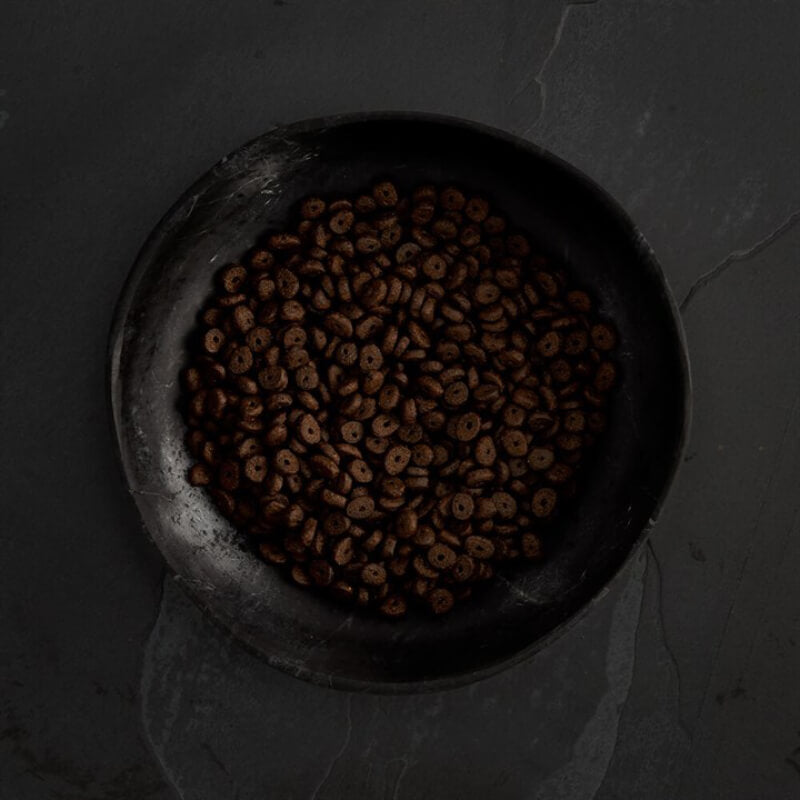 A dark bowl of coffee beans sits on a textured surface near Canagan Small Breed Scottish Salmon.