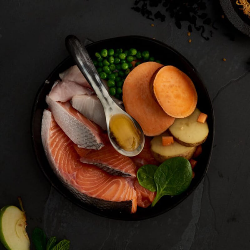Bowl with Canagan Small Breed Scottish Salmon, sweet potato, peas, spinach, potato & oil.