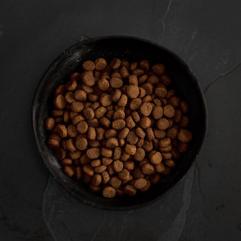 A bowl filled with Canagan Highland Feast Dogs grain free dog food on a dark surface.