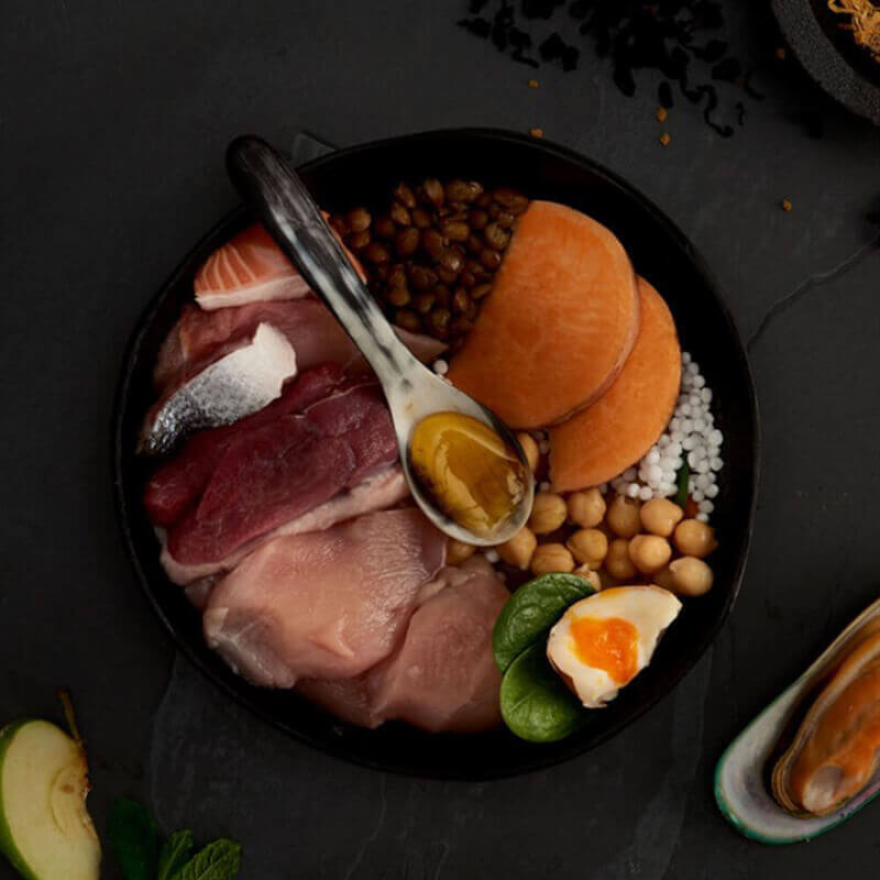Canagan Highland Feast Dogs: high-meat, grain-free food with chickpeas, lentils & spinach.