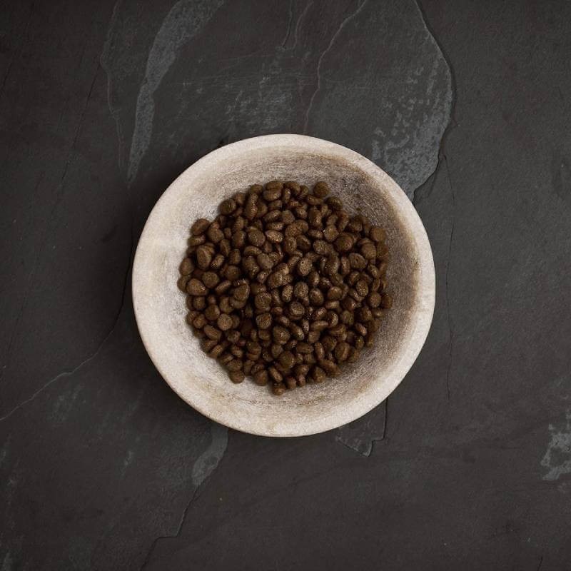 A bowl of Canagan Dental Dry Cat Food Free Run Turkey on a dark stone surface.