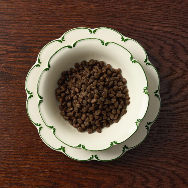 A white bowl with green trim holds Canagan Petite Chicken & Duck Dog Dry Food on a table.