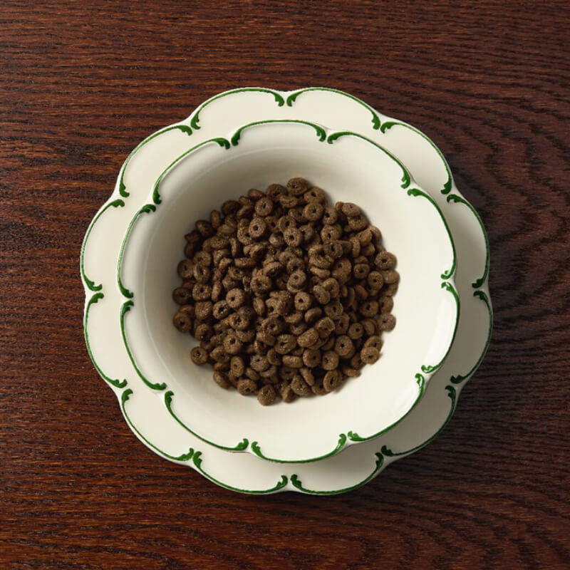Canagan Petite Chicken & Salmon Dog Dry Food in a bowl on a wooden table.