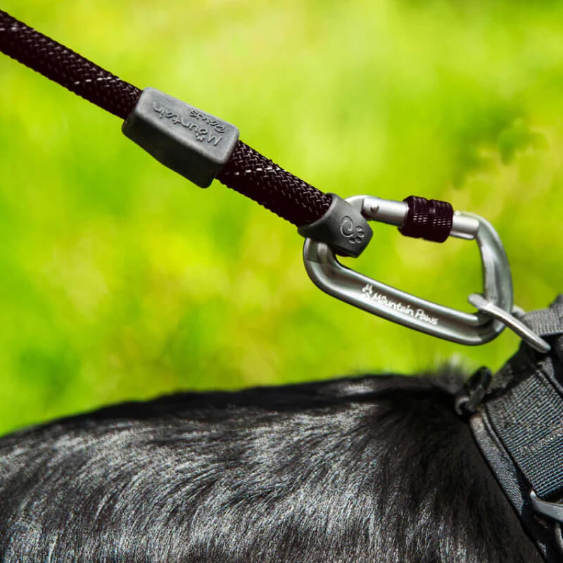 Mountain Paws Rope Dog Lead attached to a harness, reflective against a blurred green backdrop.