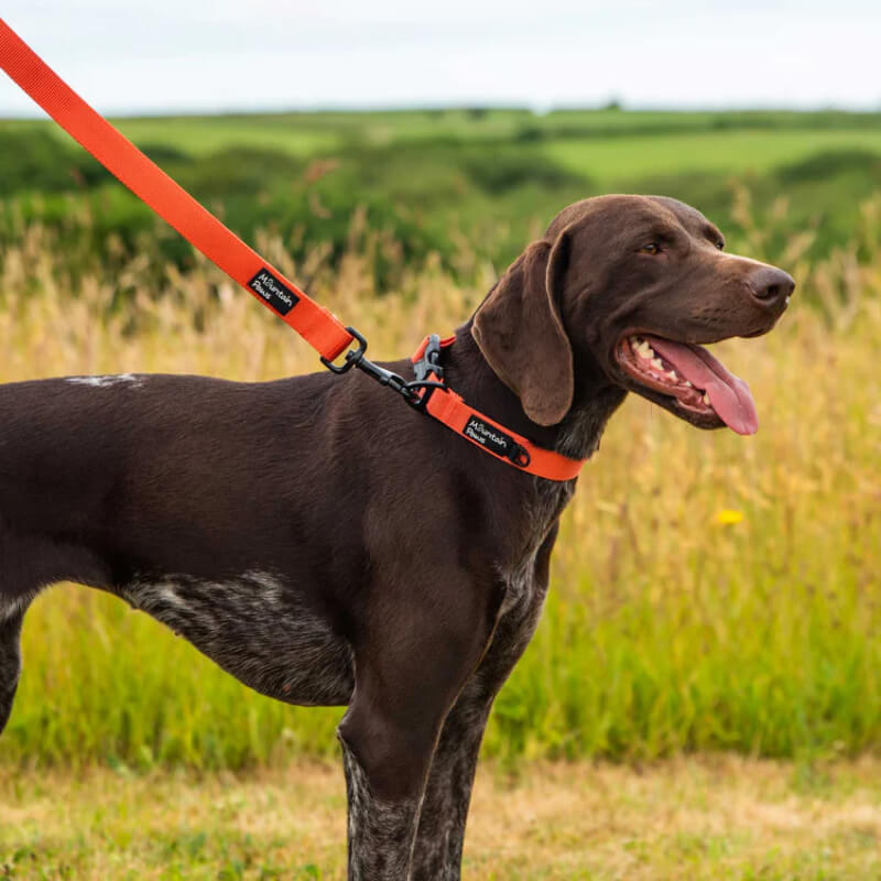 Mountain Paws Extra Tough Dog Lead features a metal clip and branded nylon strap.
