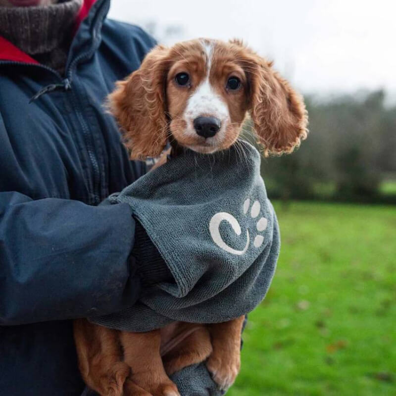 Person holding dog in Mountain Paws Muddy Dog Towel Large with paw prints outside.