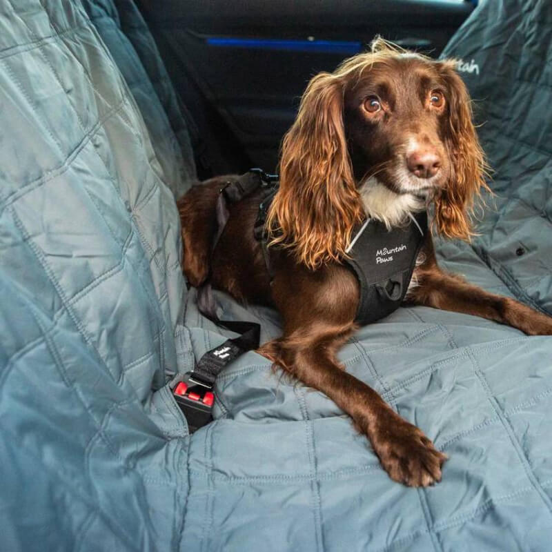 Mountain Paws Dog Seat Belt-Pet n Pony-Mountain Paws