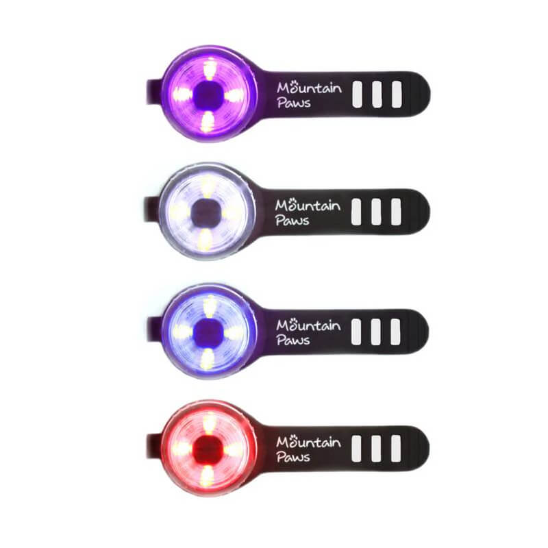 Four Mountain Paws Dog Safety Light 2pks—purple, white, blue, and red—arranged vertically.