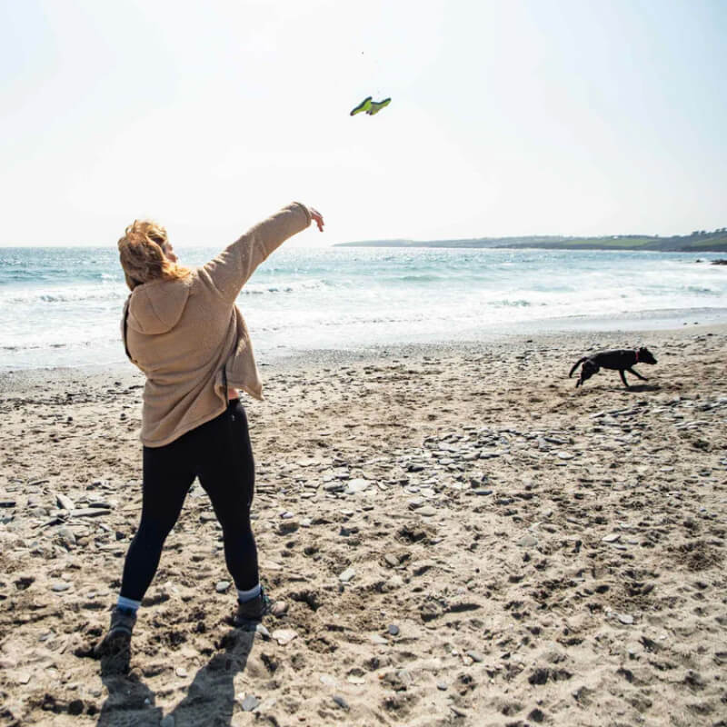 Someone tosses a Mountain Paws Rubber Bone Dog Toy as a black dog runs toward the waves.
