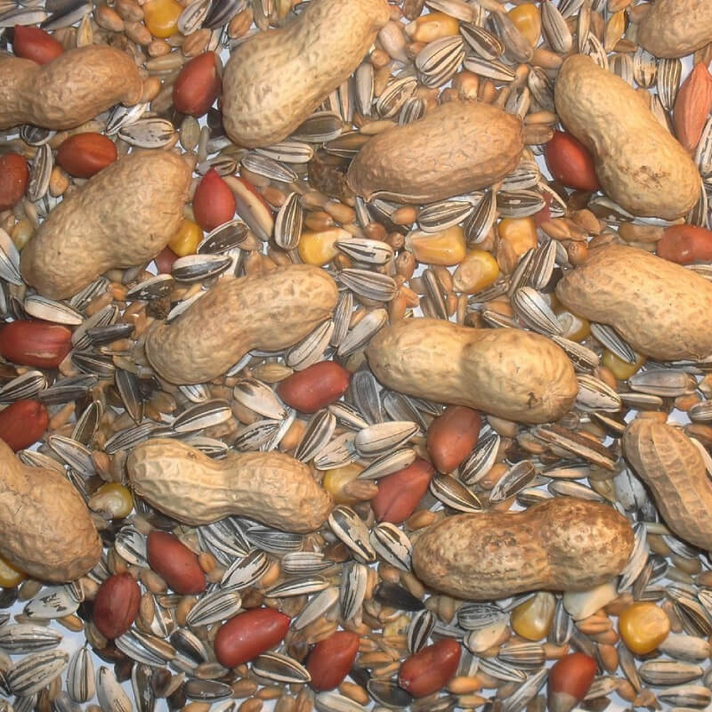 Johnston & Jeff Chipmunk and Squirrel Mix 1.2kg with peanuts, sunflower seeds, and corn.