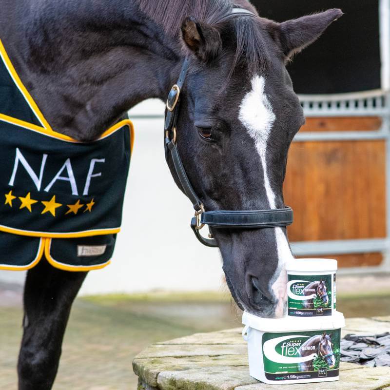 A rider on a horse with NAF Superflex Senior joint tubs and NAF branding in the foreground.