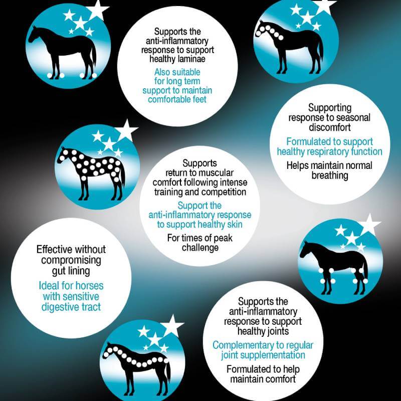 Six horse icons highlight NAF Five Star Metazone 1.2kg and joint support in circular designs.