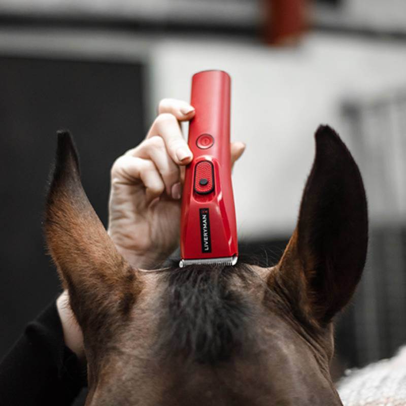 A person uses a Liveryman Trimmer Nova to groom hair near a horse’s ears.