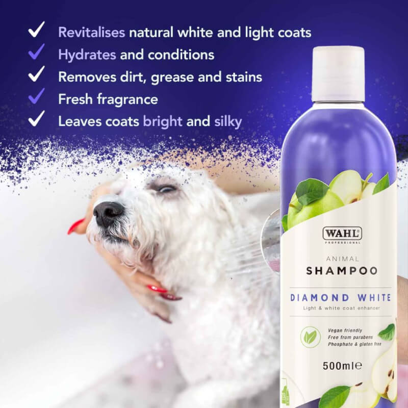 Person bathing a white dog with Wahl Diamond White Shampoo; Wahl bottle in foreground.