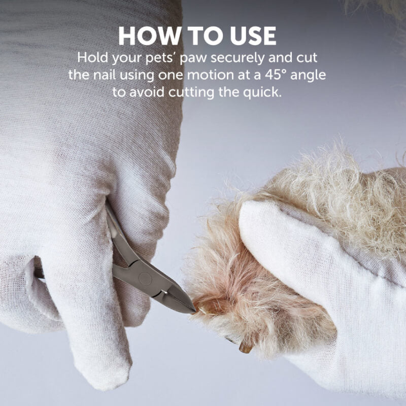 Gloved hands use Wahl 12cm Wire Spring Pliers to trim a dog's nail at a 45-degree angle.
