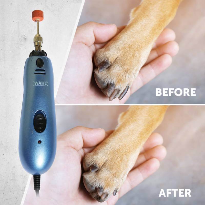 Wahl Electric Nail Grinder: dog paw before and after use, tool by Wahl shown on the left.