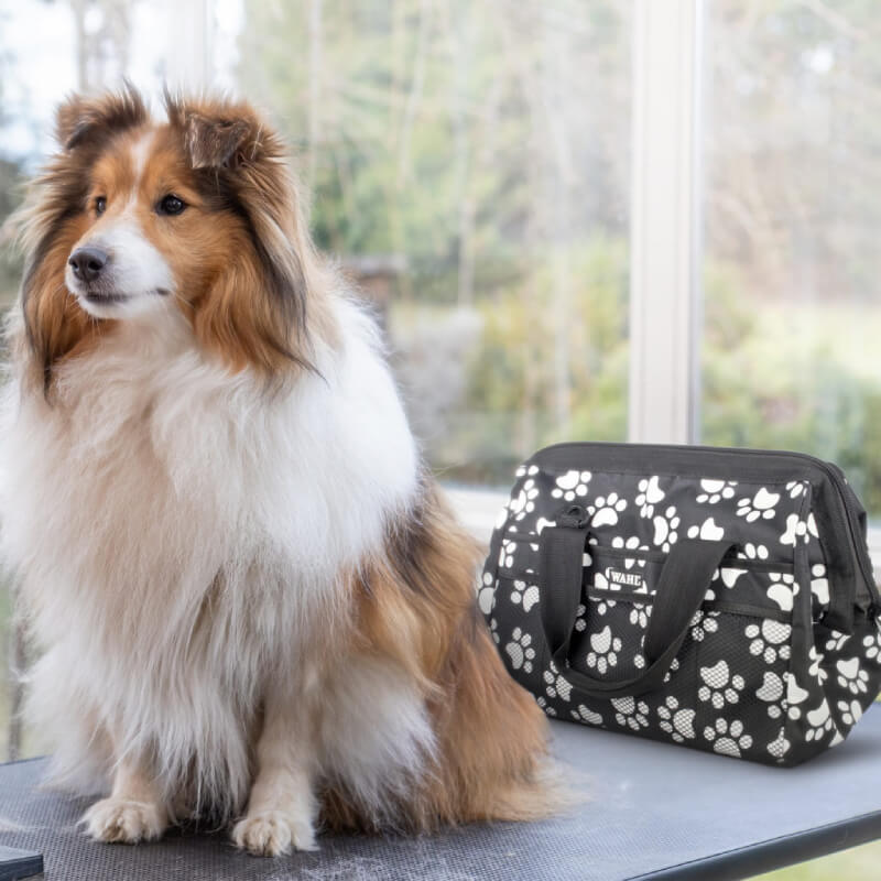 Shetland Sheepdog sits indoors next to a Wahl Paw Print Grooming Bag by Wahl.