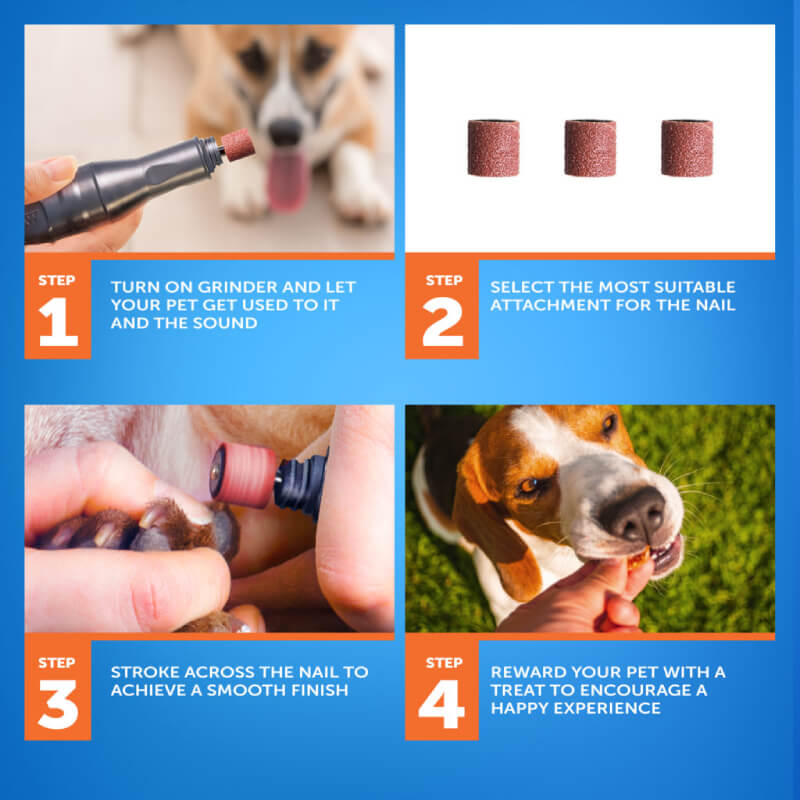 Wahl Battery Nail Grinder: 4 steps for pets’ nails, tools, and rewards in color-coded boxes.