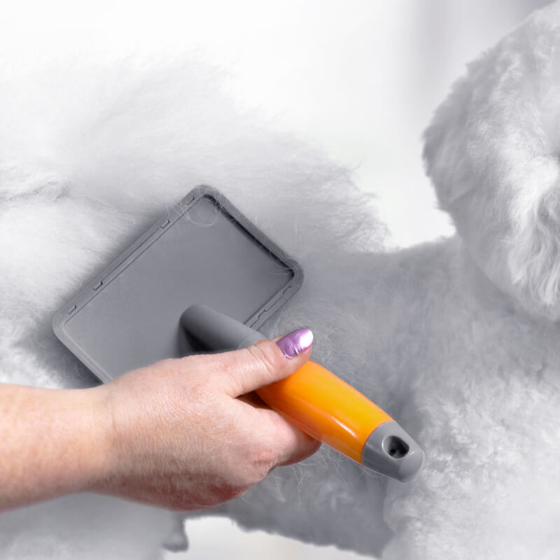 Brushing a fluffy white dog's fur with the Wahl Large Slicker Brush Orange Gel Handle.