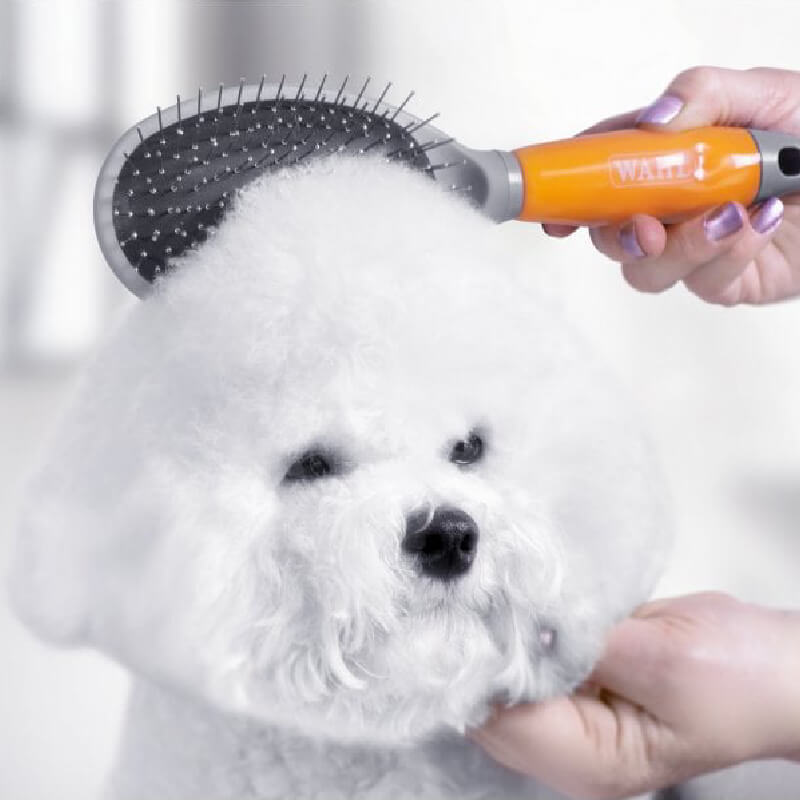 A fluffy white dog being brushed with a Wahl Pin Brush Orange Gel Handle.