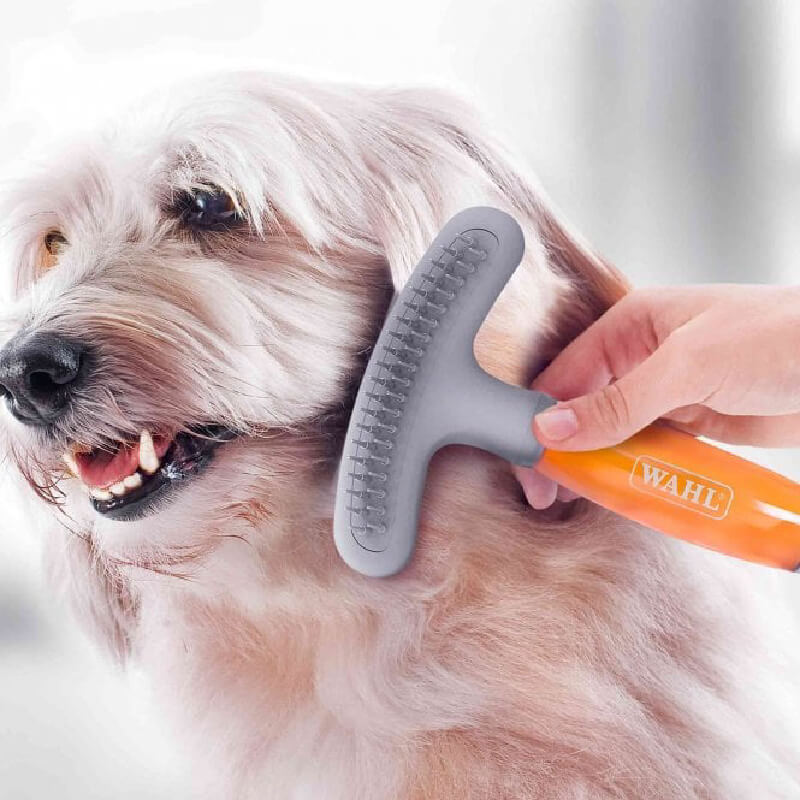 A fluffy dog is brushed with the Wahl Double Row Rake And Shedding Blade Orange Gel Handle.