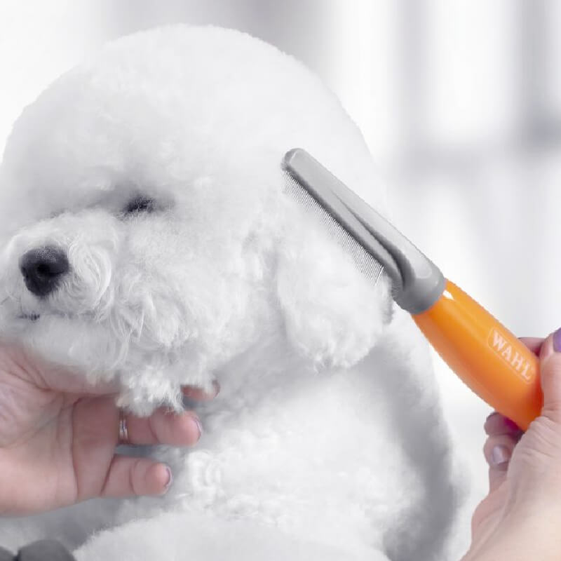 A fluffy white dog is groomed with the Wahl Flea Comb Orange Gel Handle by Wahl.