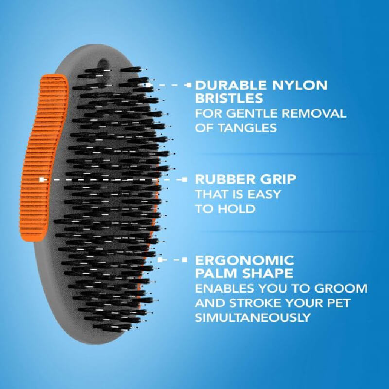 Wahl Palm Pal Brush Orange Grey removes loose hair and highlights features.