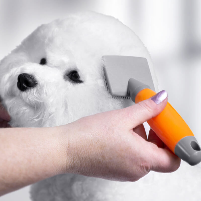 White dog brushed with Wahl Small Nylon Slicker Brush, Orange Gel Handle.