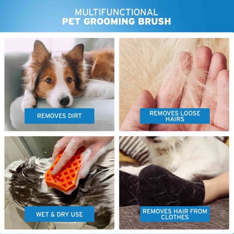 Collage of the Wahl Brush Sheddy Orange Rubber removing dirt and loose hair from dogs and clothes.