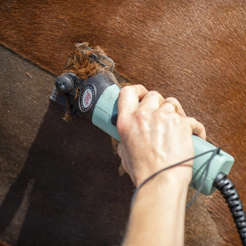 Lister Star Clippers Promo Kit by Lister trims a brown horse’s coat with ease.